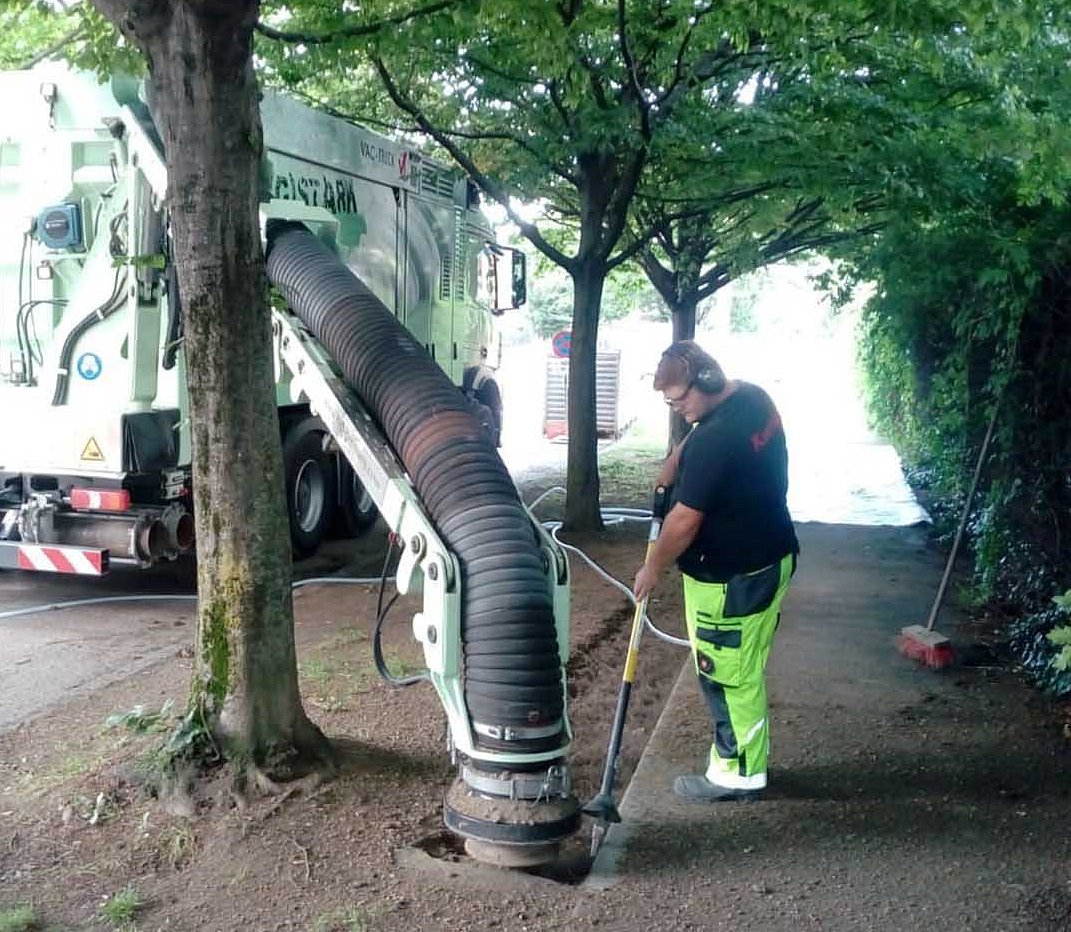 Baumwurzelsanierung